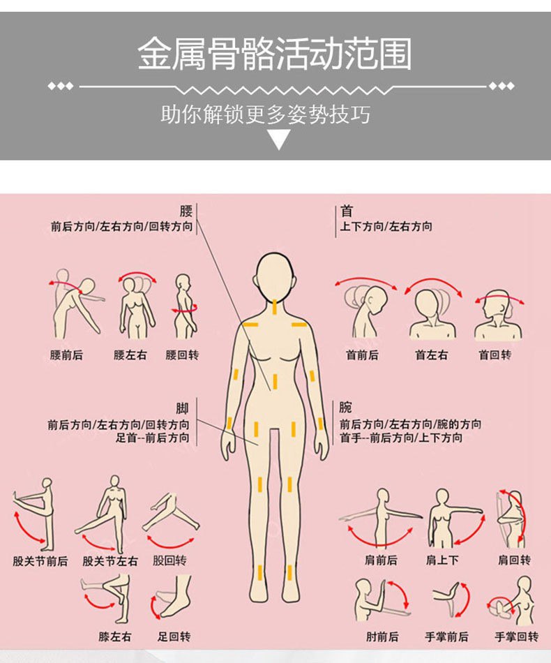 金属骨骼活动范围图示